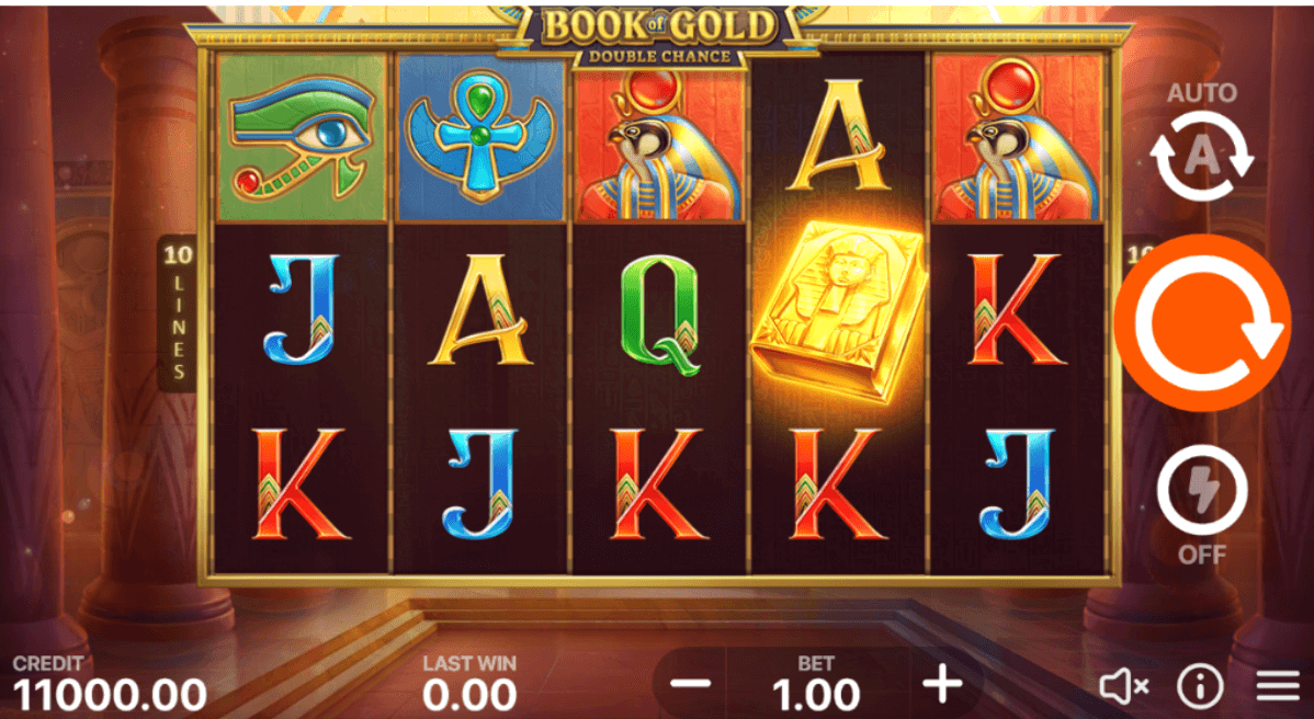 Book of Gold Double Chance Slot